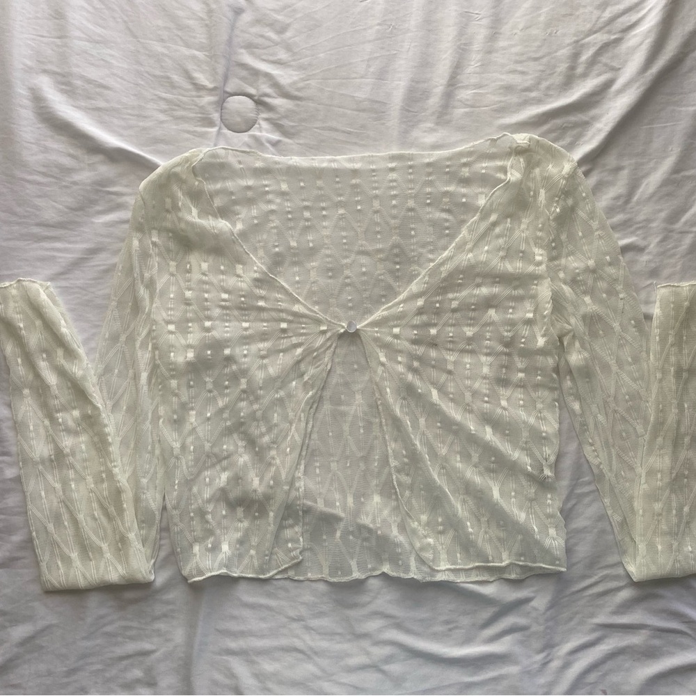 Sheer Long Sleeve Blouse
